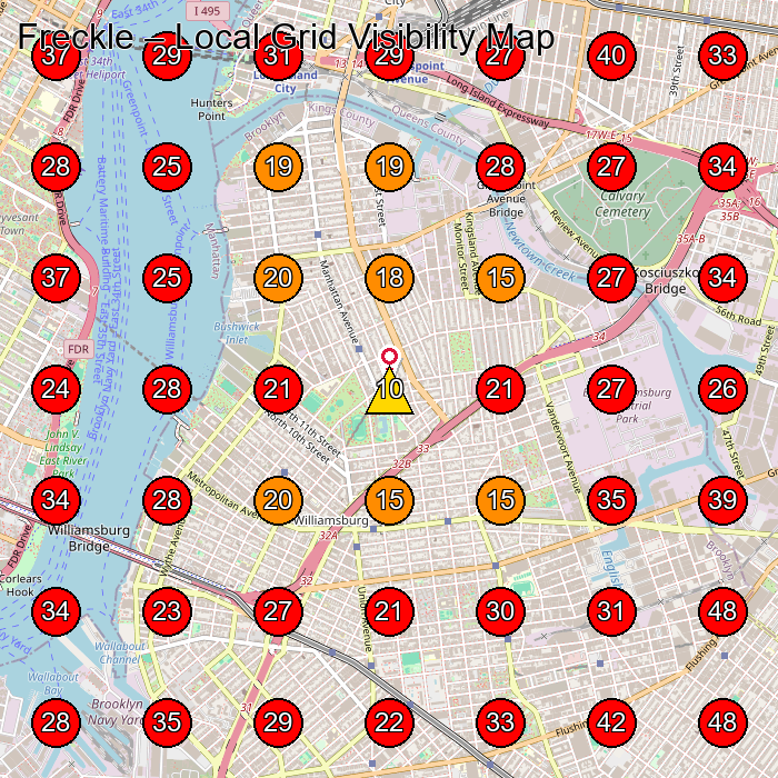 Freckle GeoGrid visibility map for Skin Care Clinic in Brooklyn